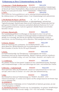 Auswertungsbogen Harnanalyse