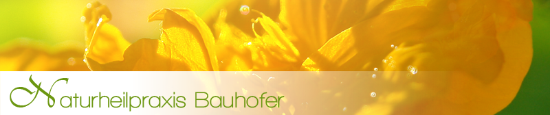 naturheilpraxis-bauhofer